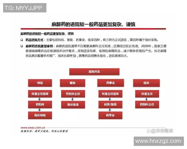 重磅专题：探索杭州篮球队运营模式的创新与发展之路